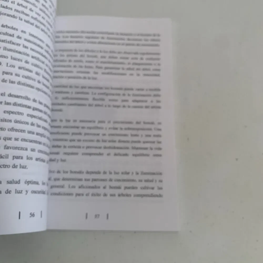 Emily Bautista Bonsái Para Principiantes Paperback In Spanish